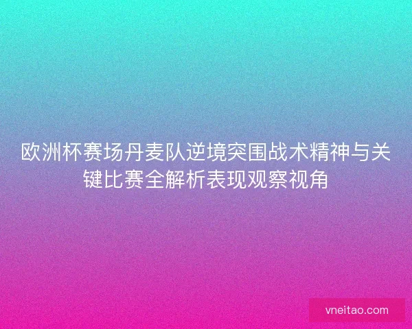 欧洲杯赛场丹麦队逆境突围战术精神与关键比赛全解析表现观察视角