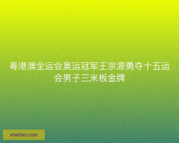 粤港澳全运会奥运冠军王宗源勇夺十五运会男子三米板金牌