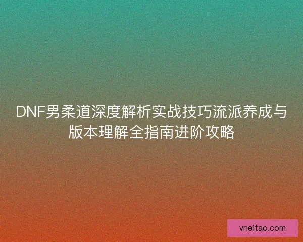 DNF男柔道深度解析实战技巧流派养成与版本理解全指南进阶攻略
